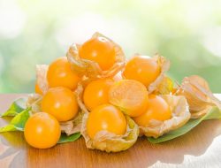 Keajaiban Buah Golden Berry untuk Kesehatan