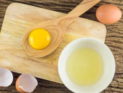 Manfaat Kuning Telur untuk Diet: Fakta atau Mitos?