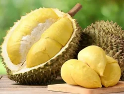 Manfaat Durian yang Jarang Diketahui