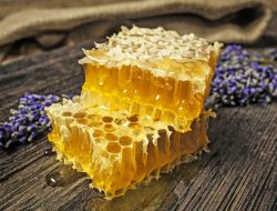 Keajaiban Honeycomb untuk Kesehatan