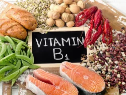 Pentingnya Vitamin B1 untuk Kesehatan Tubuh