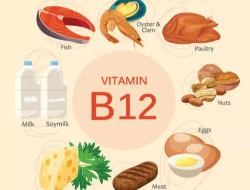 Keajaiban Vitamin B12 untuk Kesehatan Tubuh