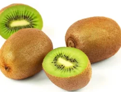 Manfaat Buah Kiwi: Buah Eksotis dengan Segudang Khasiat Kesehatan