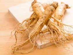 Mengungkap Manfaat Ginseng untuk Kesehatan Tubuh dan Pikiran