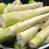 Manfaat Rebung: Sayuran Bambu dengan Nutrisi Tinggi