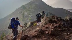 Naik Gunung: Aktivitas yang Menantang dan Menyegarkan untuk Semua Kalangan