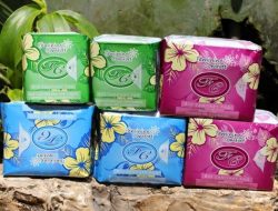 Pembalut Herbal: Solusi Aman untuk Menjaga Kesehatan Area Kewanitaan